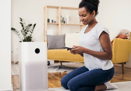 Why do HEPA Air Filters and the Best Air Purifying House Plants Make a Perfect Duo for Allergy Relief?